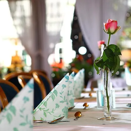 Hotel-restaurant Wanders 2* Elten